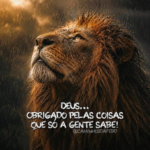 Joaquim J Lima Jr 