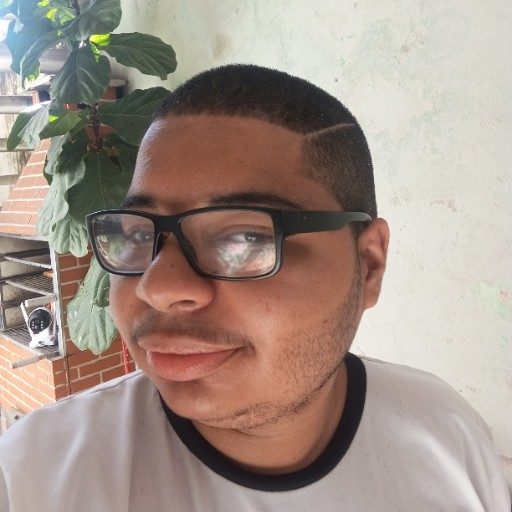 WEVERTON CARLOS ARAUJO DA SILVA
