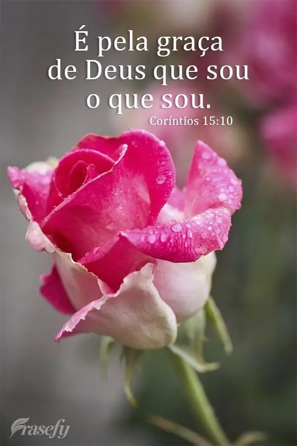 🙏🏻🙇🏻‍♀️🙏🏻❤️‍🔥🕊️👑🇮🇱